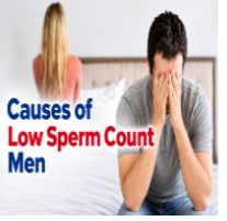 Low Sperm Count: Causes, Lifestyle Changes, and When to Seek Help